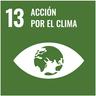 ODS 13